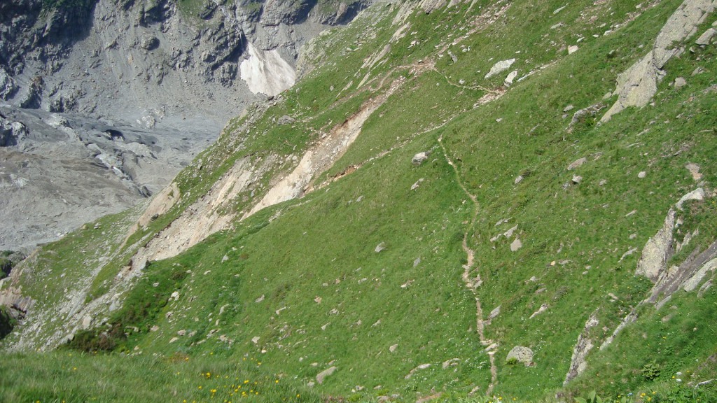 DSC00980